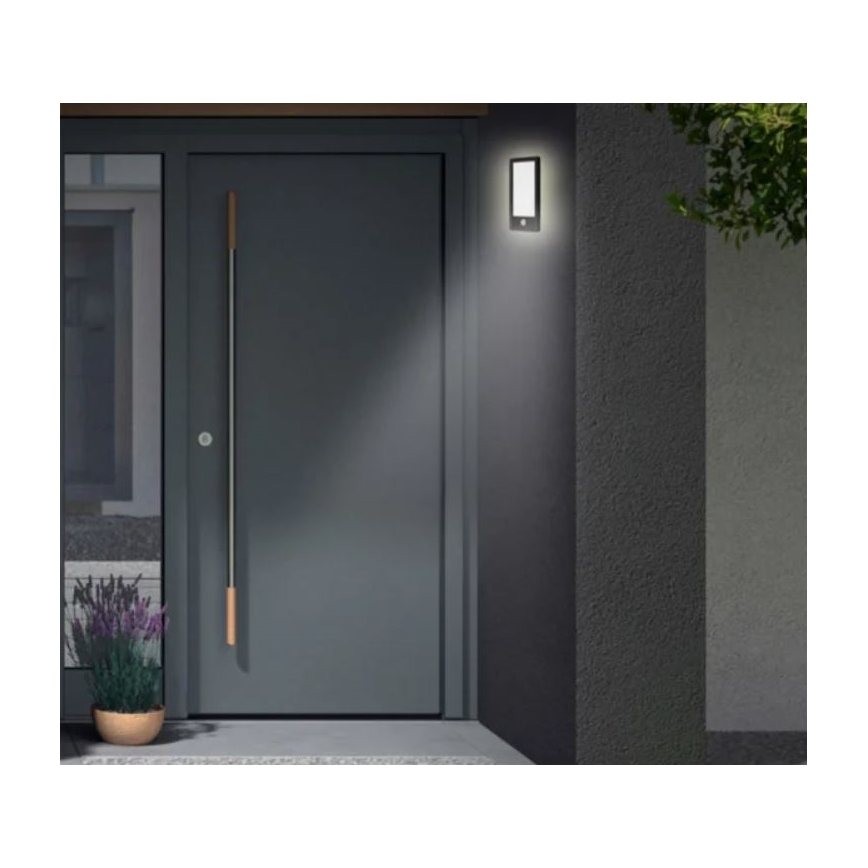 Telefunken 313905TF - LED Utomhus vägglampa med sensor LED/16W/230V IP44