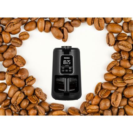 TESLA Electronics - Kaffemaskin med kvarn 2i1 900W/230V
