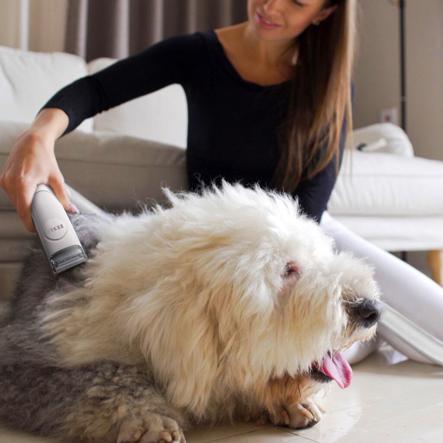 TESLA Electronics PetCare - Grooming kit för husdjur 300W/230V
