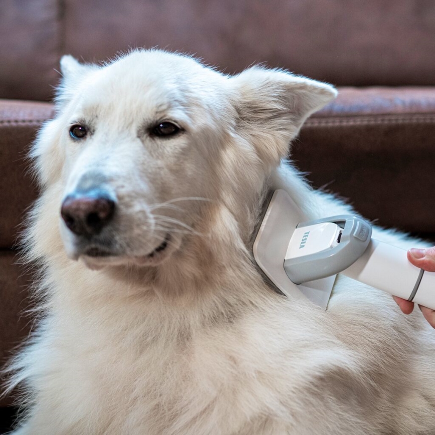 TESLA Electronics PetCare - Grooming kit för husdjur 300W/230V