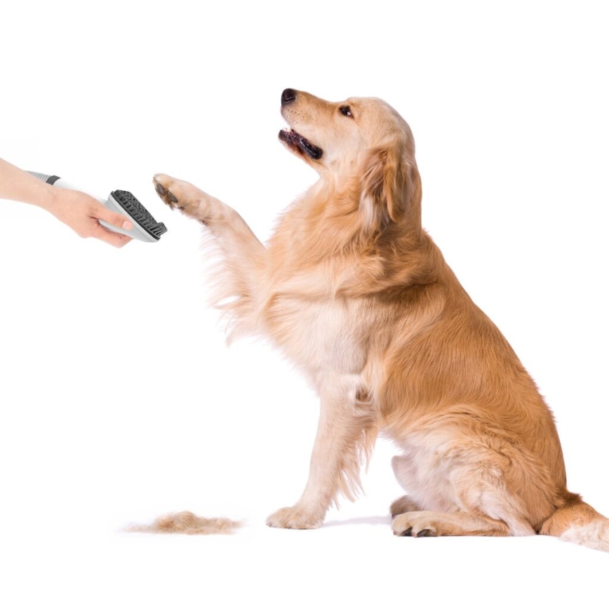 TESLA Electronics PetCare - Grooming kit för husdjur 300W/230V