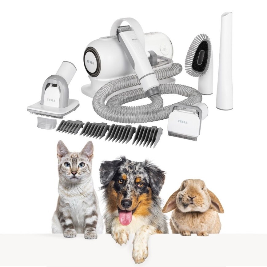 TESLA Electronics PetCare - Grooming kit för husdjur 300W/230V