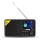 TESLA Electronics - Radio DAB+ FM 5W/4000 mAh svart