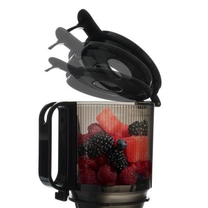 TESLA Electronics SlowJuicer Deluxe - Låghastighets kuicer 250W/230V rostfri/svart