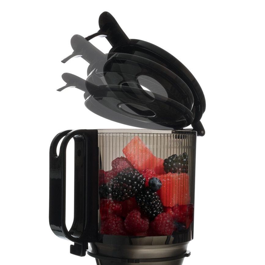 TESLA Electronics SlowJuicer Deluxe - Låghastighets kuicer 250W/230V rostfri/svart