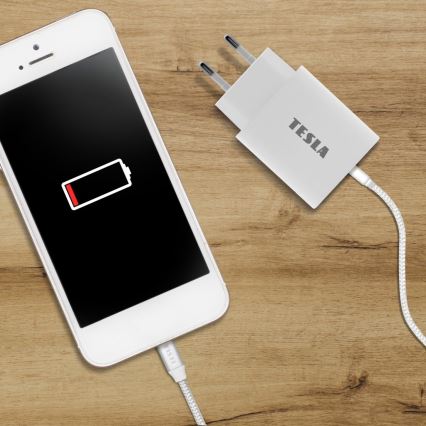 TESLA Electronics - Snabbladdningsadapter Power Delivery 20W vit