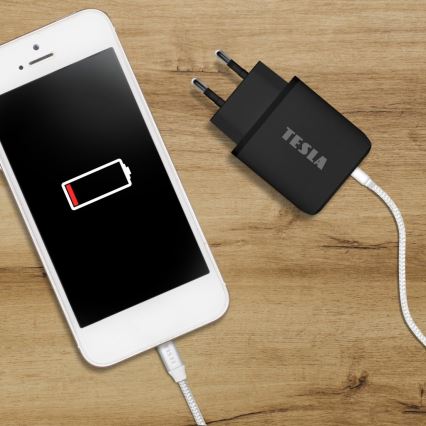TESLA Electronics - Snabbladdningsadapter Power Delivery 25W svart