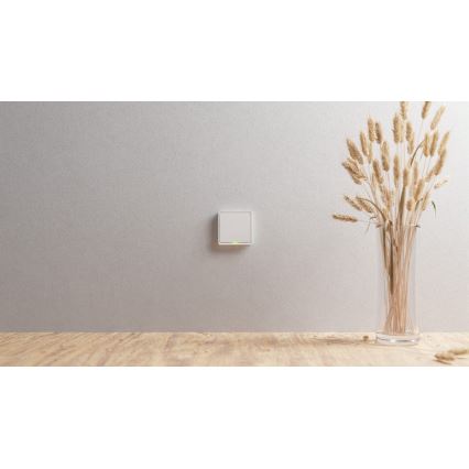 TESLA Smart - Smart hem väggrytare 1P 230V Zigbee