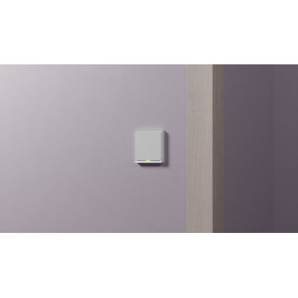 TESLA Smart - Smart hem väggrytare 1P 230V Zigbee