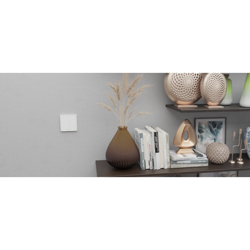 TESLA Smart - Smart hem väggrytare 1P 230V Zigbee