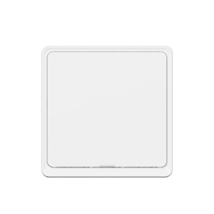 TESLA Smart - Smart hem väggrytare 1P 230V Zigbee