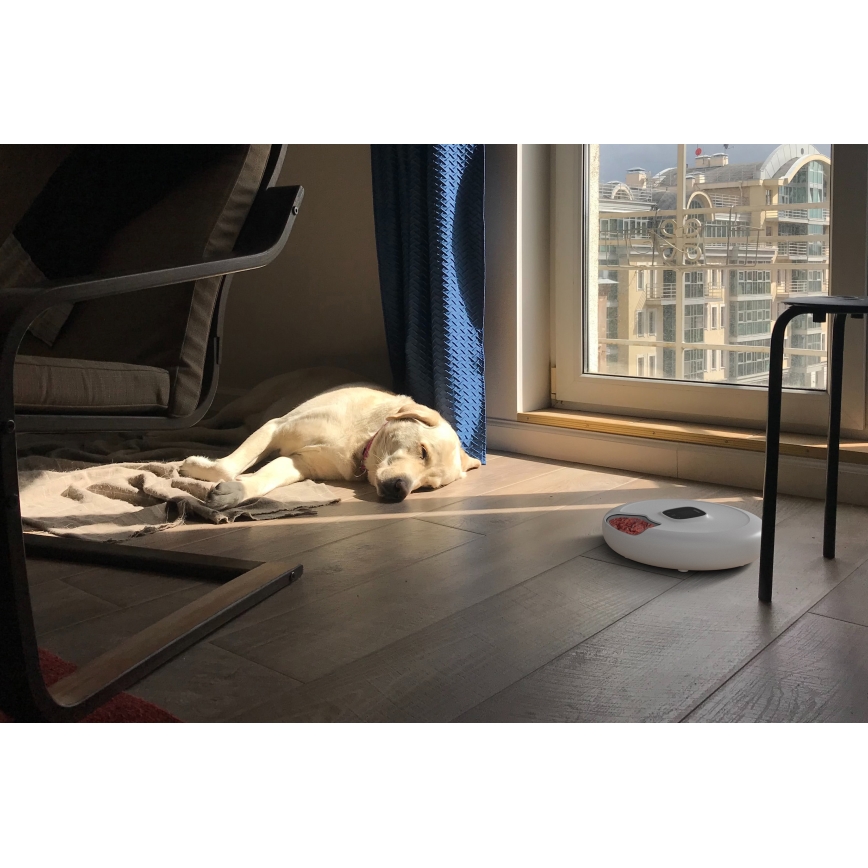 TESLA Smart - Smart husdjursmatare 170 ml 5V