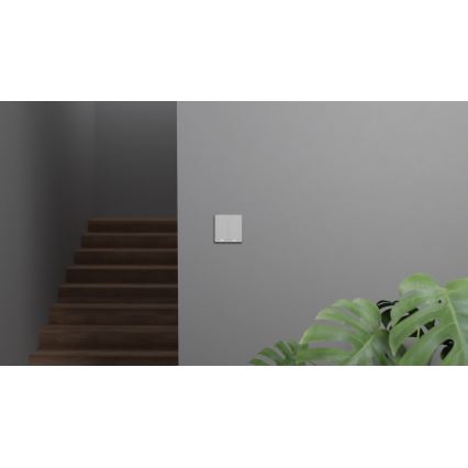 TESLA Smart - Smart strömbrytare 2P 230V Zigbee