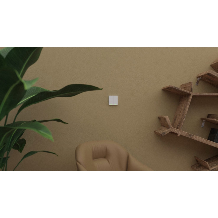 TESLA Smart - Smart trådlös väggbrytare 2P 1xCR2430 ZigBee