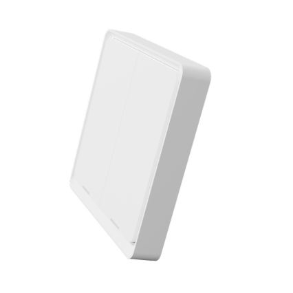 TESLA Smart - Smart trådlös väggbrytare 2P 1xCR2430 ZigBee