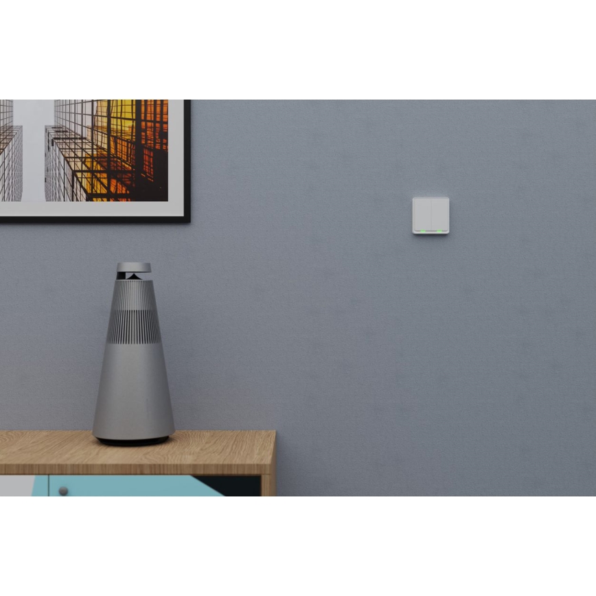 TESLA Smart - Smart trådlös väggbrytare 2P 1xCR2430 ZigBee