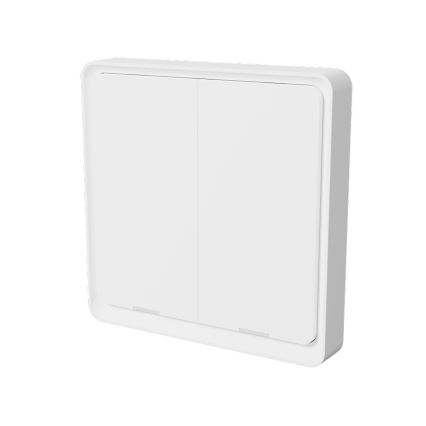 TESLA Smart - Smart trådlös väggbrytare 2P 1xCR2430 ZigBee