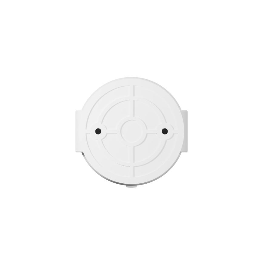 TESLA Smart - Smart utomhus camera Full HD 1080p 12V Wi-Fi IP65