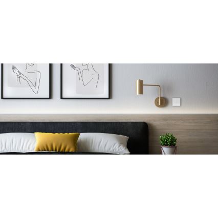 TESLA Smart - Smart trådlös hemströmbrytare 2P 1xCR2430 ZigBee