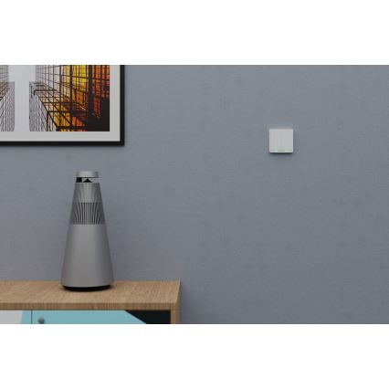 TESLA Smart - Smart trådlös hemströmbrytare 2P 1xCR2430 ZigBee