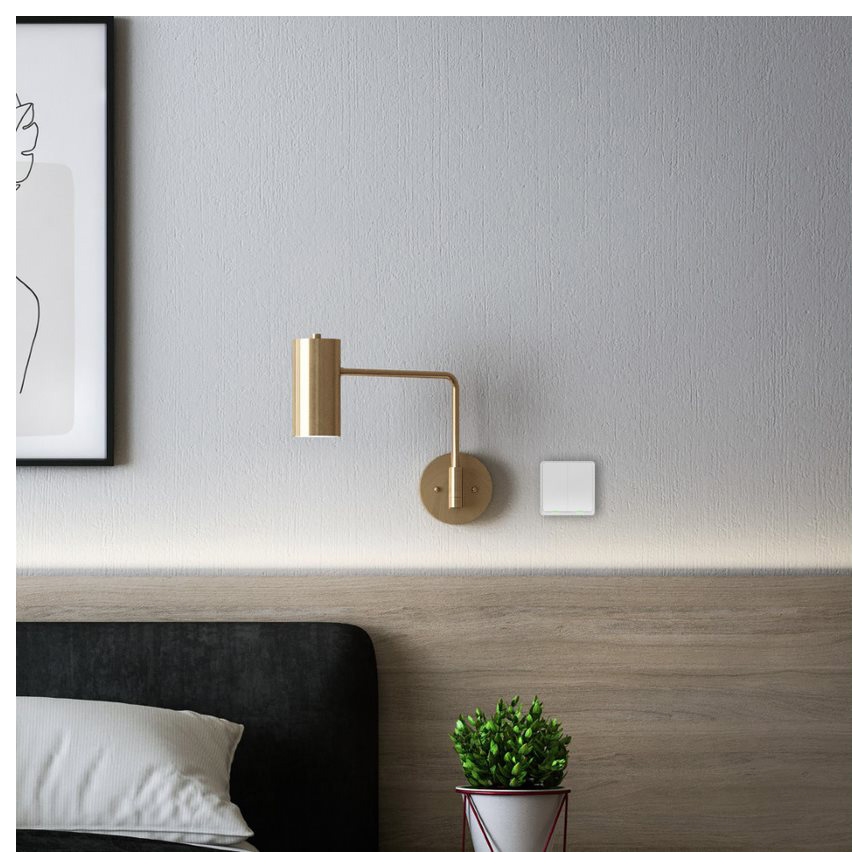 TESLA Smart - Smart trådlös hemströmbrytare 2P 1xCR2430 ZigBee