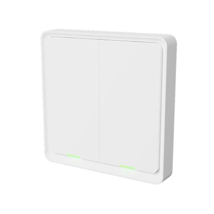 TESLA Smart - Smart trådlös hemströmbrytare 2P 1xCR2430 ZigBee
