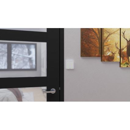 TESLA Smart - Smart trådlös husströmbrytare 4P 1xCR2430 ZigBee