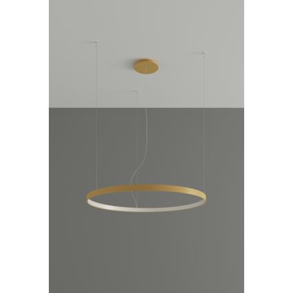 Thoro TH.174 - LED ljuskrona med textilsladd RIO LED/50W/230V CRI 90 3000K diameter 78 cm guld
