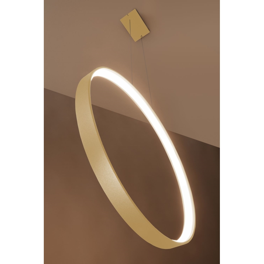 Thoro TH.175 - LED ljuskrona med textilsladd RIO LED/50W/230V CRI 90 3000K diameter 78 cm guld