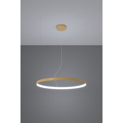 Thoro TH.181 - LED  Ljuskrona med textilsladd RIO LED /50W/230V CRI 95 4000K diameter 78 cm guld