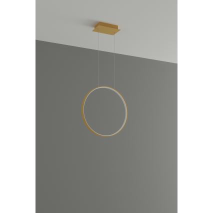 Thoro TH.221 - LED ljuskrona med textilsladd RIO LED/30W/230V CRI 95 4000K diameter 55 cm guld