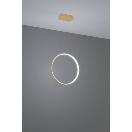 Thoro TH.221 - LED ljuskrona med textilsladd RIO LED/30W/230V CRI 95 4000K diameter 55 cm guld