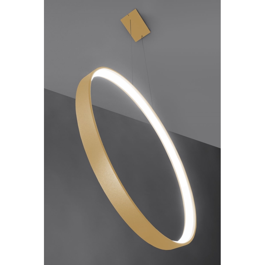 Thoro TH.221 - LED ljuskrona med textilsladd RIO LED/30W/230V CRI 95 4000K diameter 55 cm guld