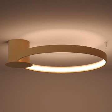 Thoro TH.222 - LED taklampa RIO LED/30W/230V CRI 90 3000K diameter 55 cm guld
