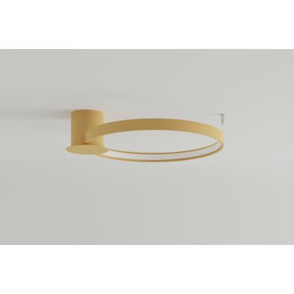 Thoro TH.222 - LED taklampa RIO LED/30W/230V CRI 90 3000K diameter 55 cm guld
