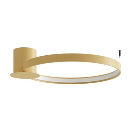 Thoro TH.222 - LED taklampa RIO LED/30W/230V CRI 90 3000K diameter 55 cm guld