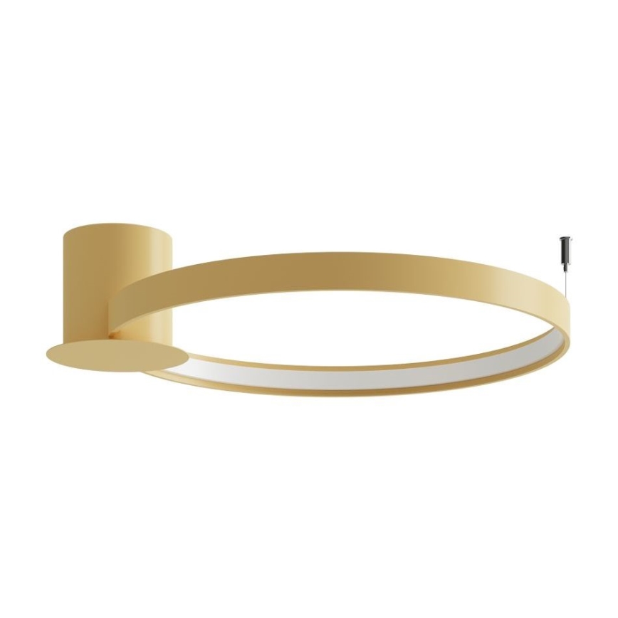 Thoro TH.222 - LED taklampa RIO LED/30W/230V CRI 90 3000K diameter 55 cm guld