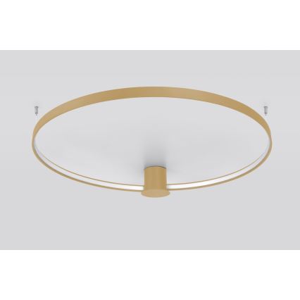 Thoro TH.222 - LED taklampa RIO LED/30W/230V CRI 90 3000K diameter 55 cm guld