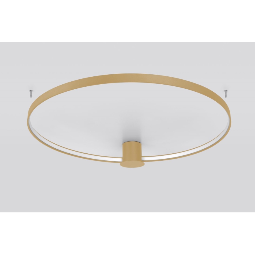 Thoro TH.222 - LED taklampa RIO LED/30W/230V CRI 90 3000K diameter 55 cm guld