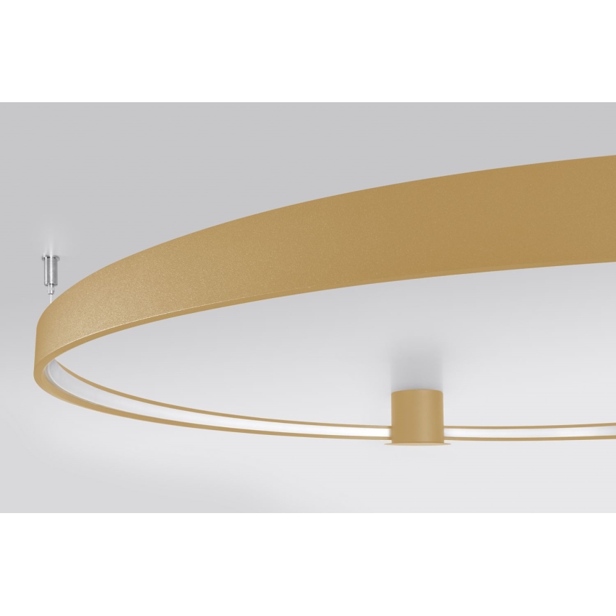 Thoro TH.222 - LED taklampa RIO LED/30W/230V CRI 90 3000K diameter 55 cm guld