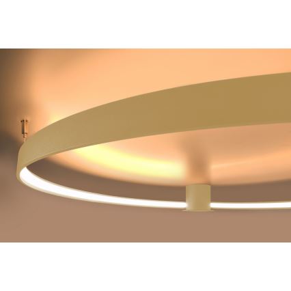 Thoro TH.222 - LED taklampa RIO LED/30W/230V CRI 90 3000K diameter 55 cm guld