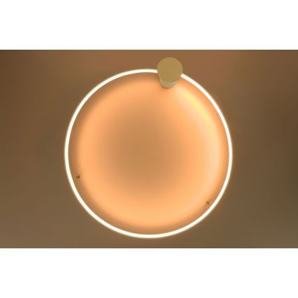Thoro TH.222 - LED taklampa RIO LED/30W/230V CRI 90 3000K diameter 55 cm guld