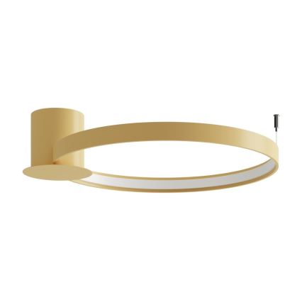 Thoro TH.223 - LED taklampa RIO LED/30W/230V CRI 95 4000K diameter 55 cm guld