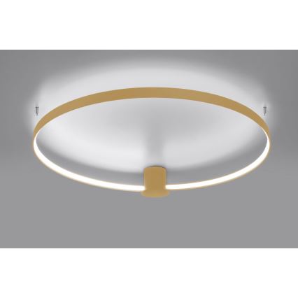 Thoro TH.223 - LED taklampa RIO LED/30W/230V CRI 95 4000K diameter 55 cm guld
