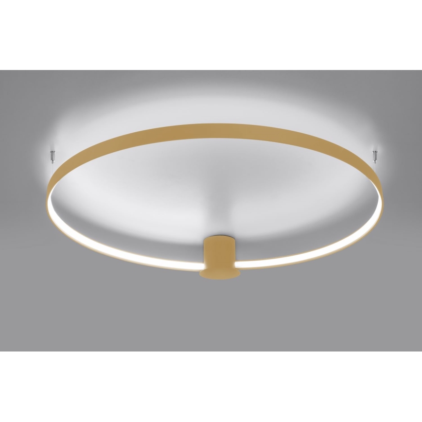 Thoro TH.223 - LED taklampa RIO LED/30W/230V CRI 95 4000K diameter 55 cm guld