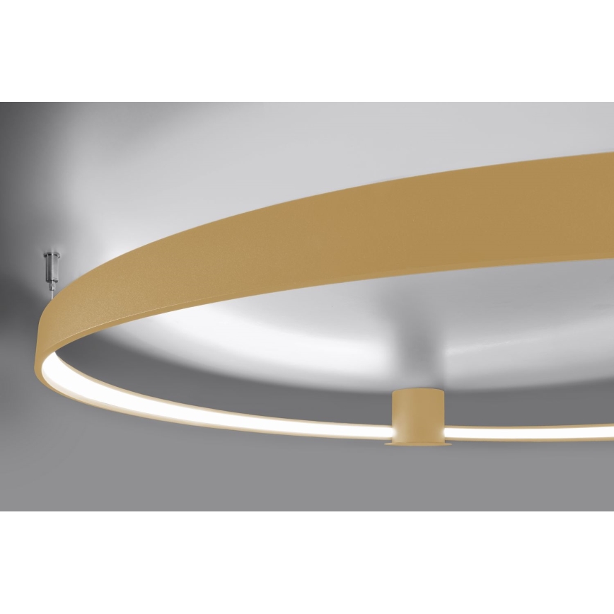 Thoro TH.223 - LED taklampa RIO LED/30W/230V CRI 95 4000K diameter 55 cm guld