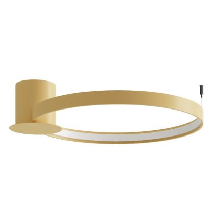 Thoro TH.223 - LED-taklampa RIO LED/30W/230V CRI 98 4000K Ø 55 cm guld