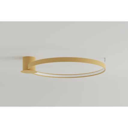 Thoro TH.224 - LED taklampa RIO LED/50W/230V CRI 90 3000K diameter 78 cm guld