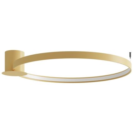 Thoro TH.224 - LED taklampa RIO LED/50W/230V CRI 90 3000K diameter 78 cm guld