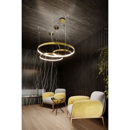 Thoro TH.246 - LED ljuskrona med textilsladd RIO LED/50W/230V CRI 90 3000K diameter 78 cm guld